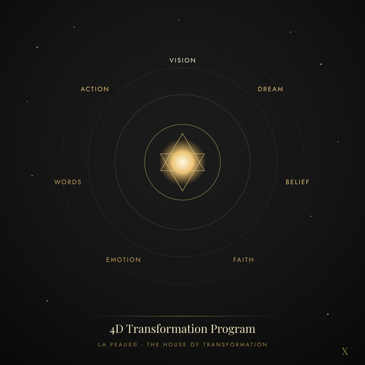Vision Guide — The House of Transformation